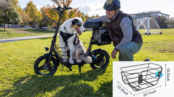 Electric Scooter with Removeable Front And Back Basket