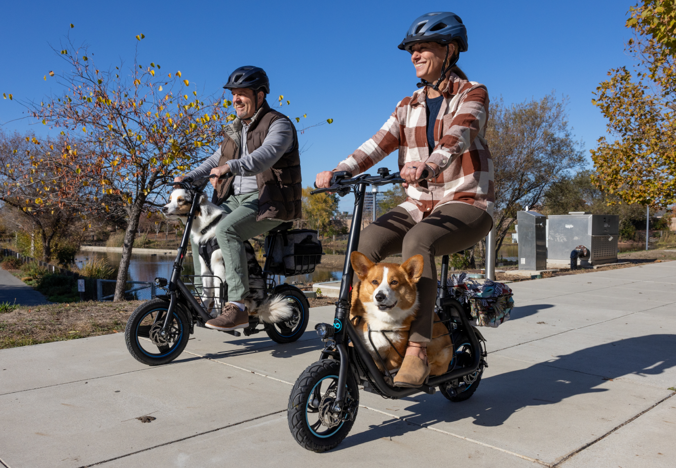 Best Electric Scooters for Adults in 2025