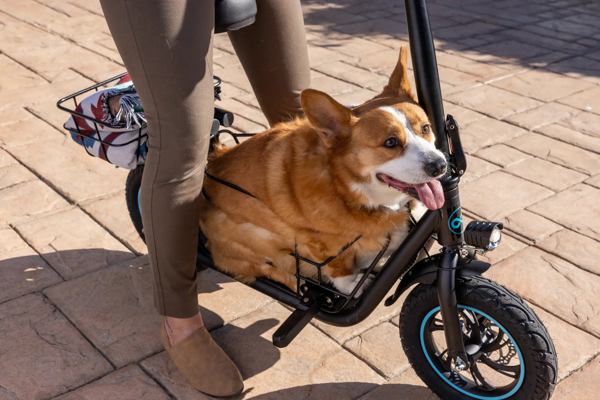 500 Pound Capacity Electric Scooter: The Ultimate Heavy-Duty Ride for Every Adventure