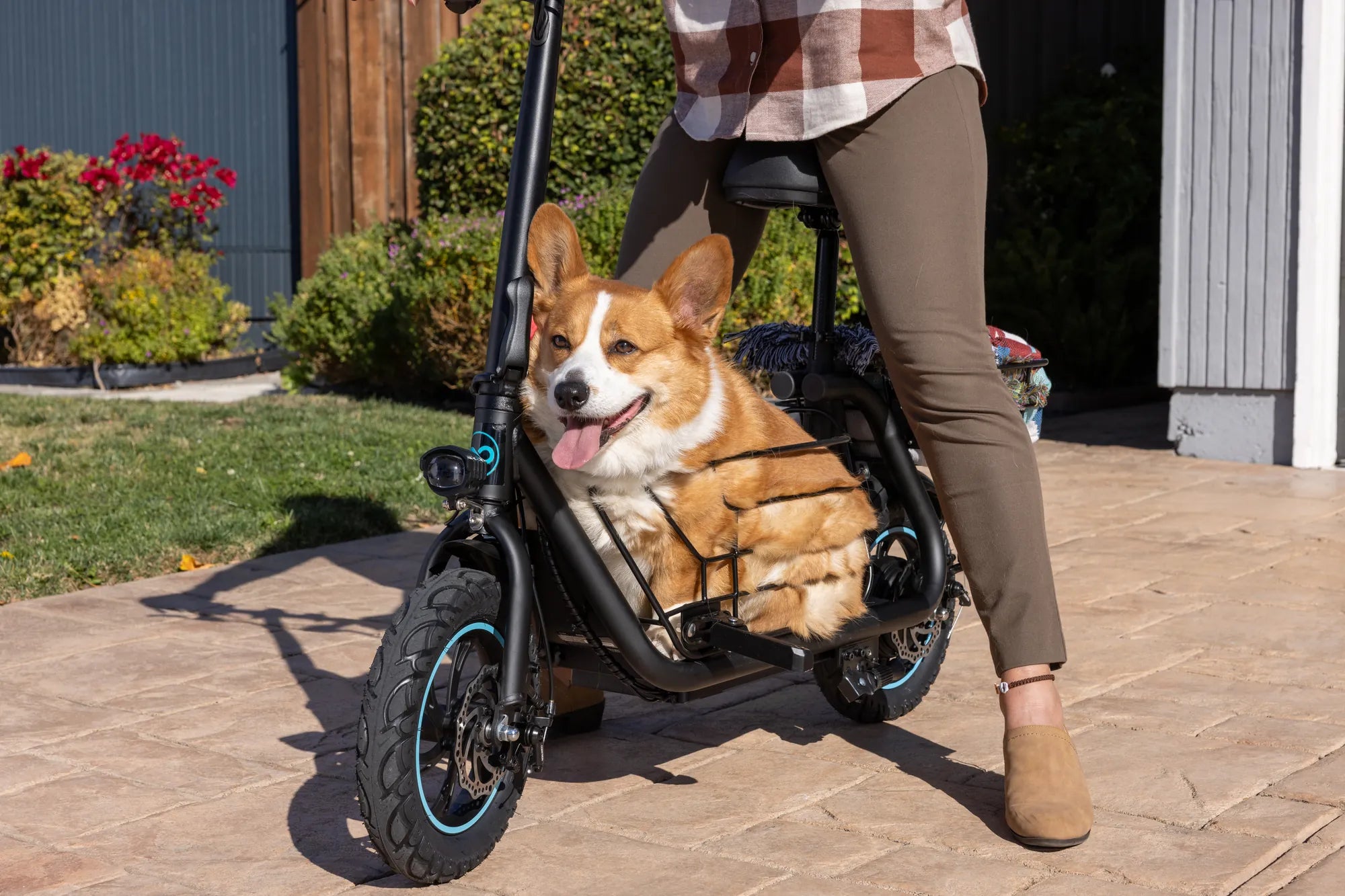 E14 Error Code Electric Scooter: Causes, Fixes, and Prevention Tips