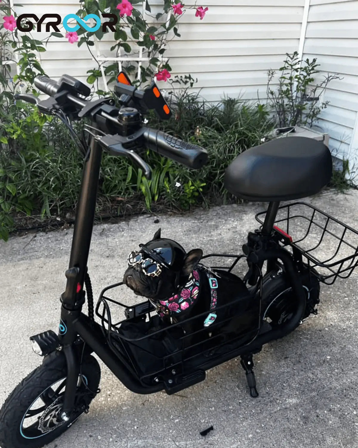 Dogleash scooter