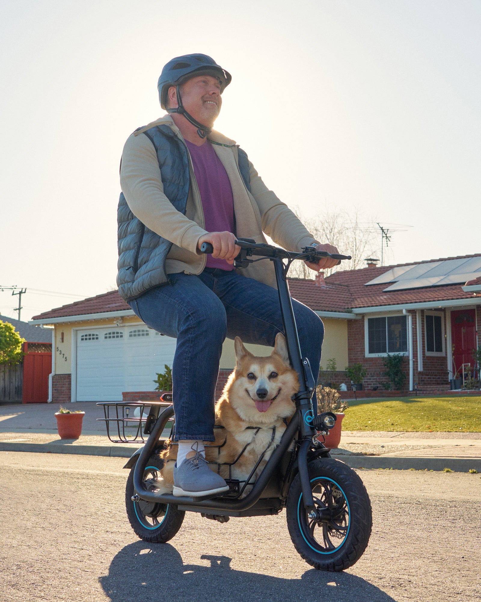 electric scooter used for pet friendly commuting