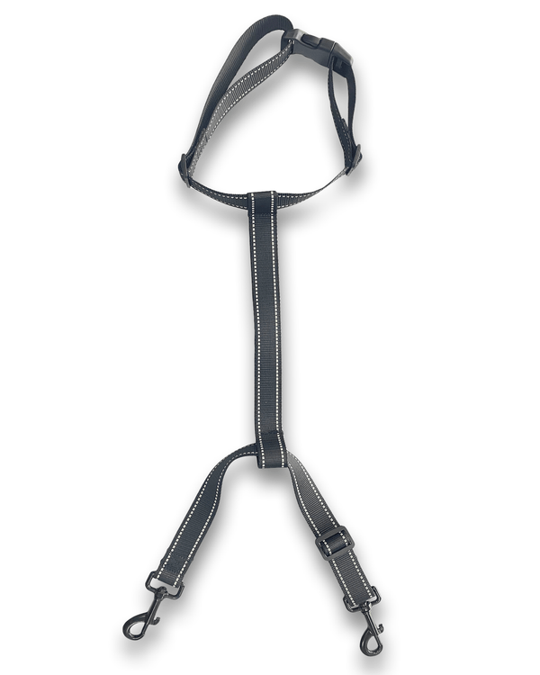 Dogleash