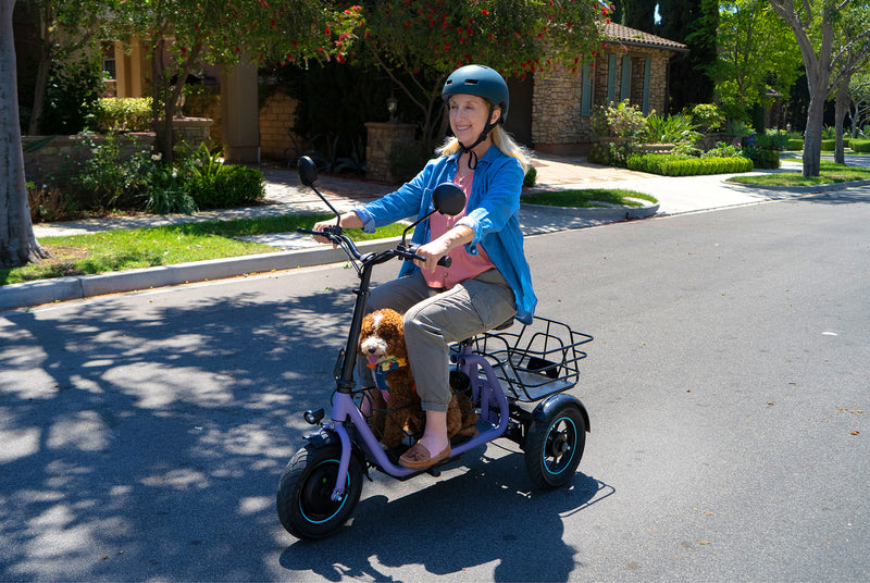 Electric_Trike_C5