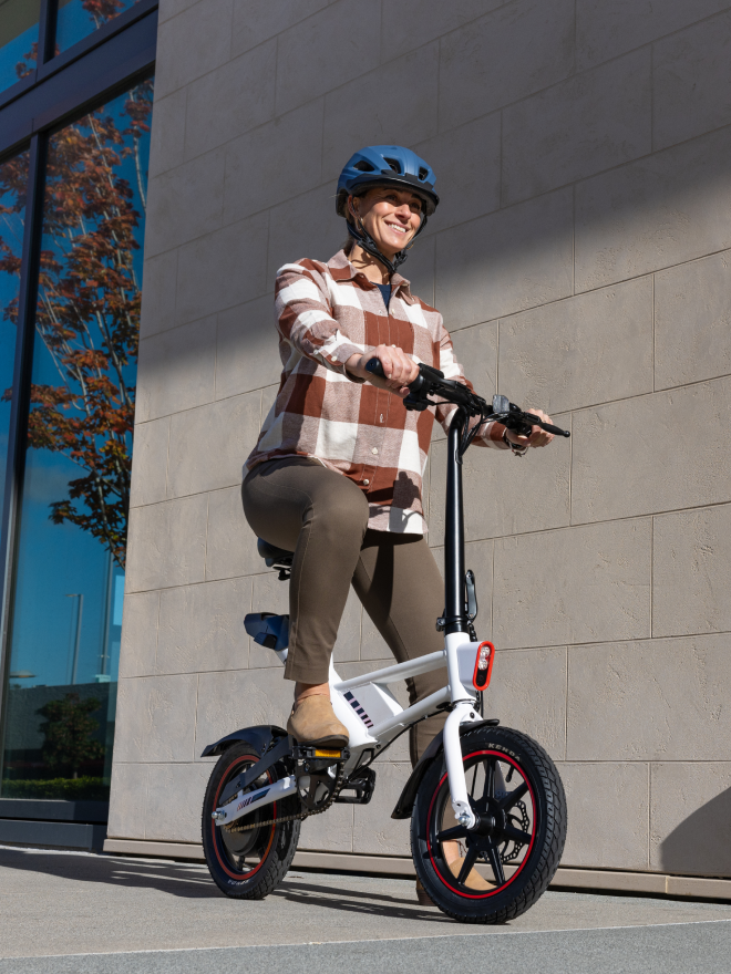 Foldable Electric Bike