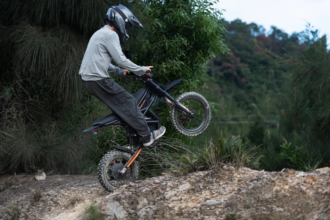 Gyroor GT54Pro electric dirt bike hydraulic disc brakes and wheel detail