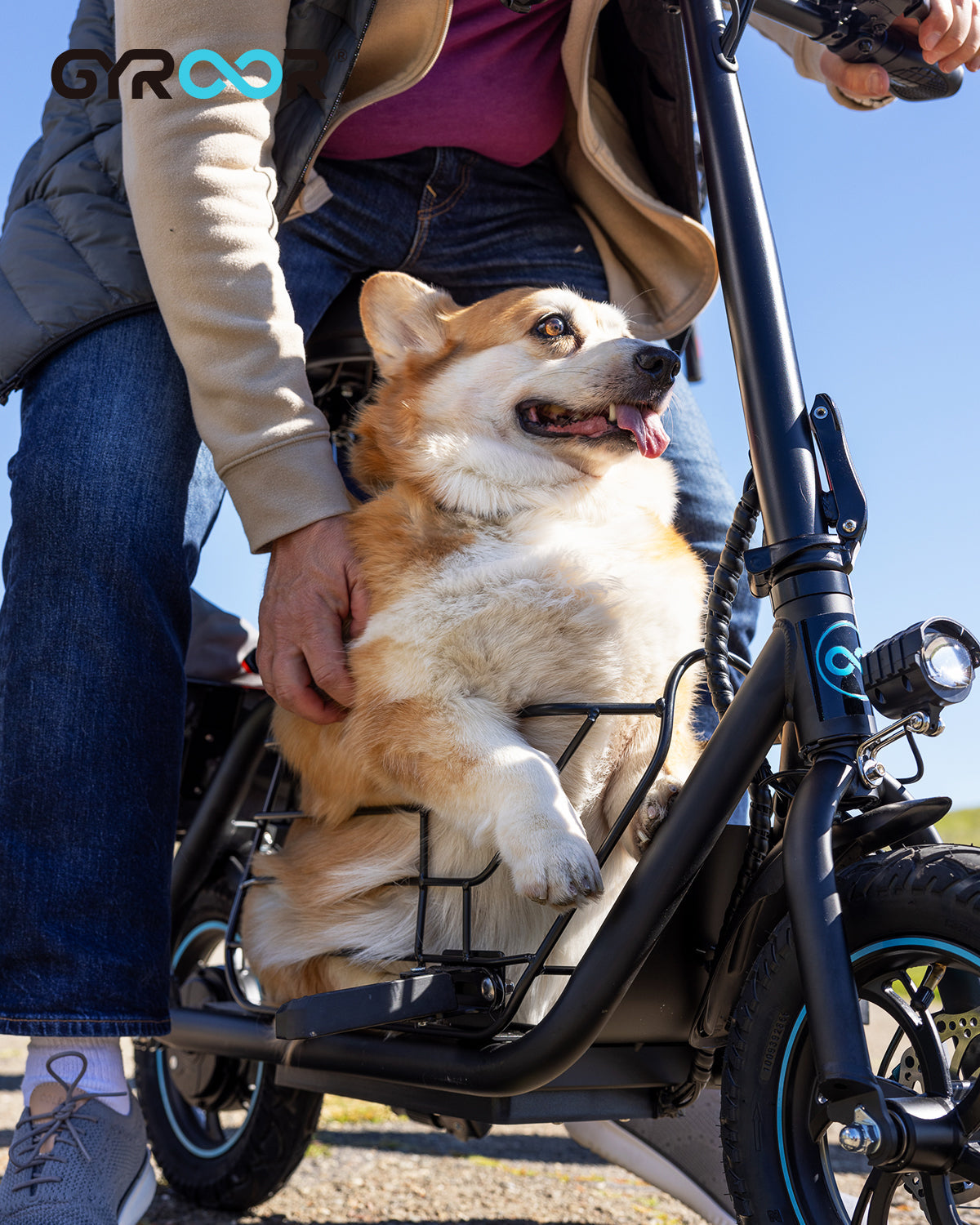 Dogleash for scooter