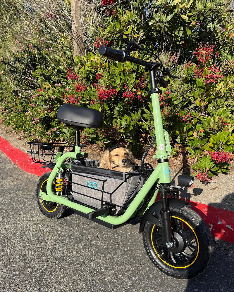 Green electric scooter with a small dog relaxing in the front pet basket beside flowering shrubs