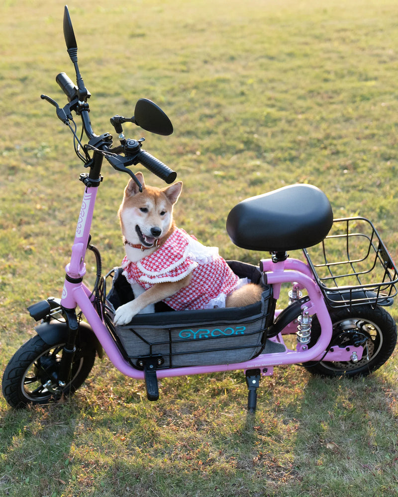 Pink electric scooter with seat carrying a Shiba Inu wearing a dress in the front basket