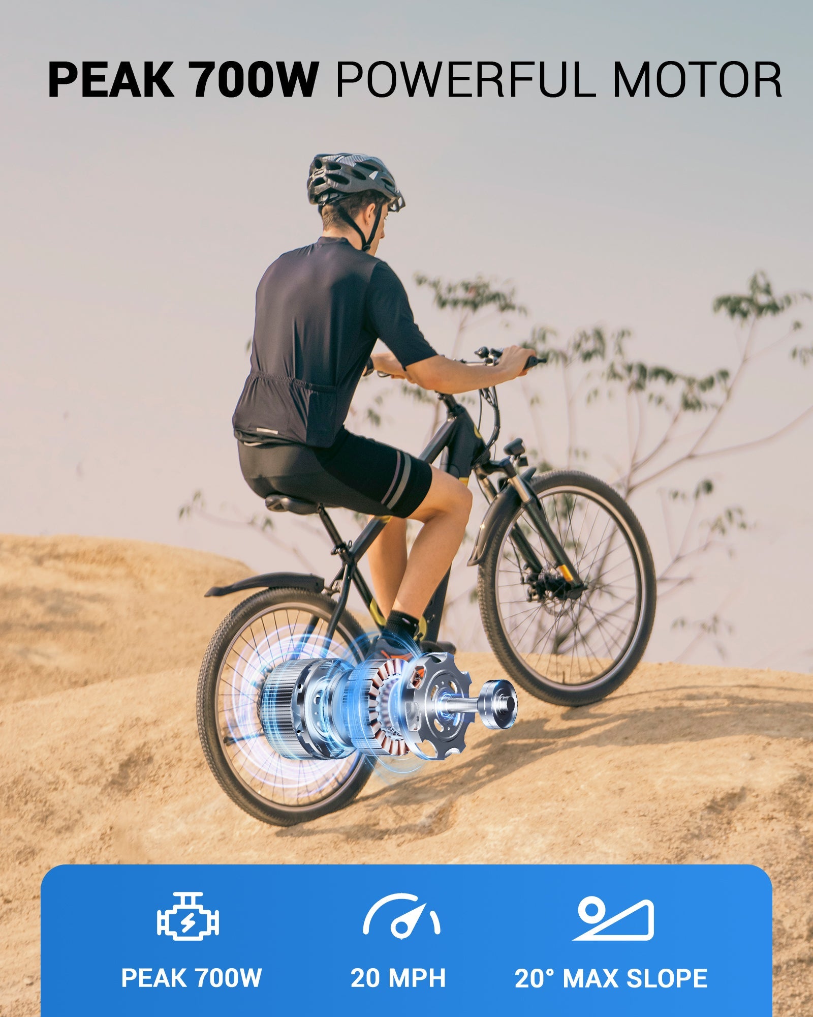 three wheel electric bike