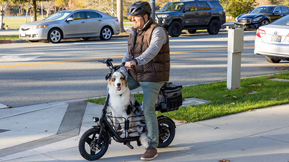 Essential Electric Scooter