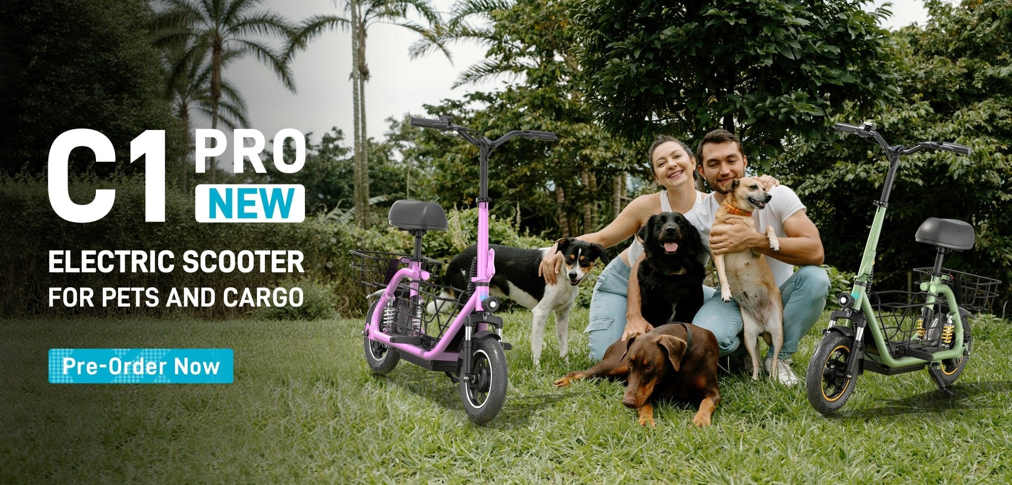 Best Electric Scooters for Spring 2025 Compared