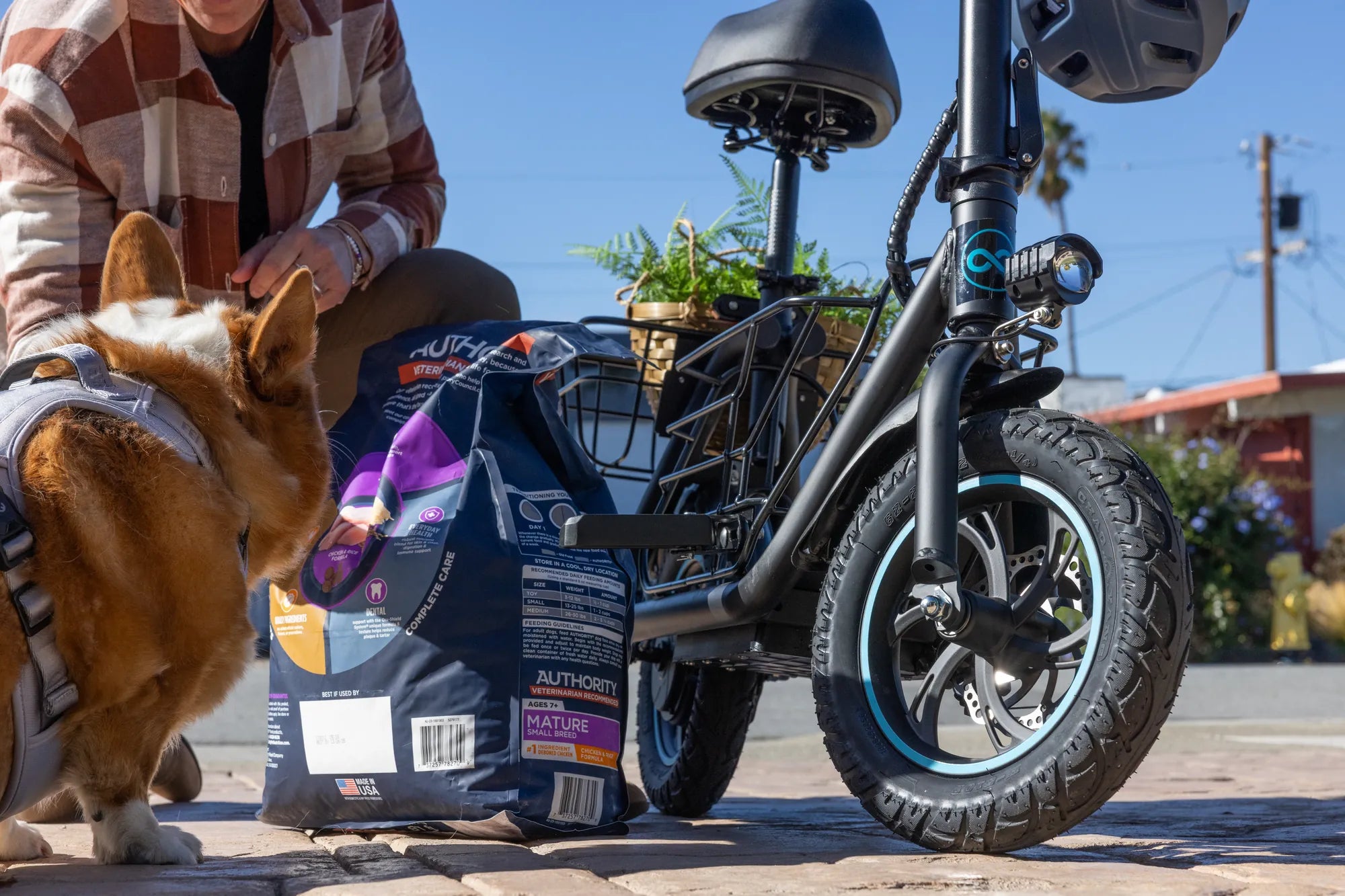 Electric Scooter for Sale in Jamaica: The Future of Urban Mobility