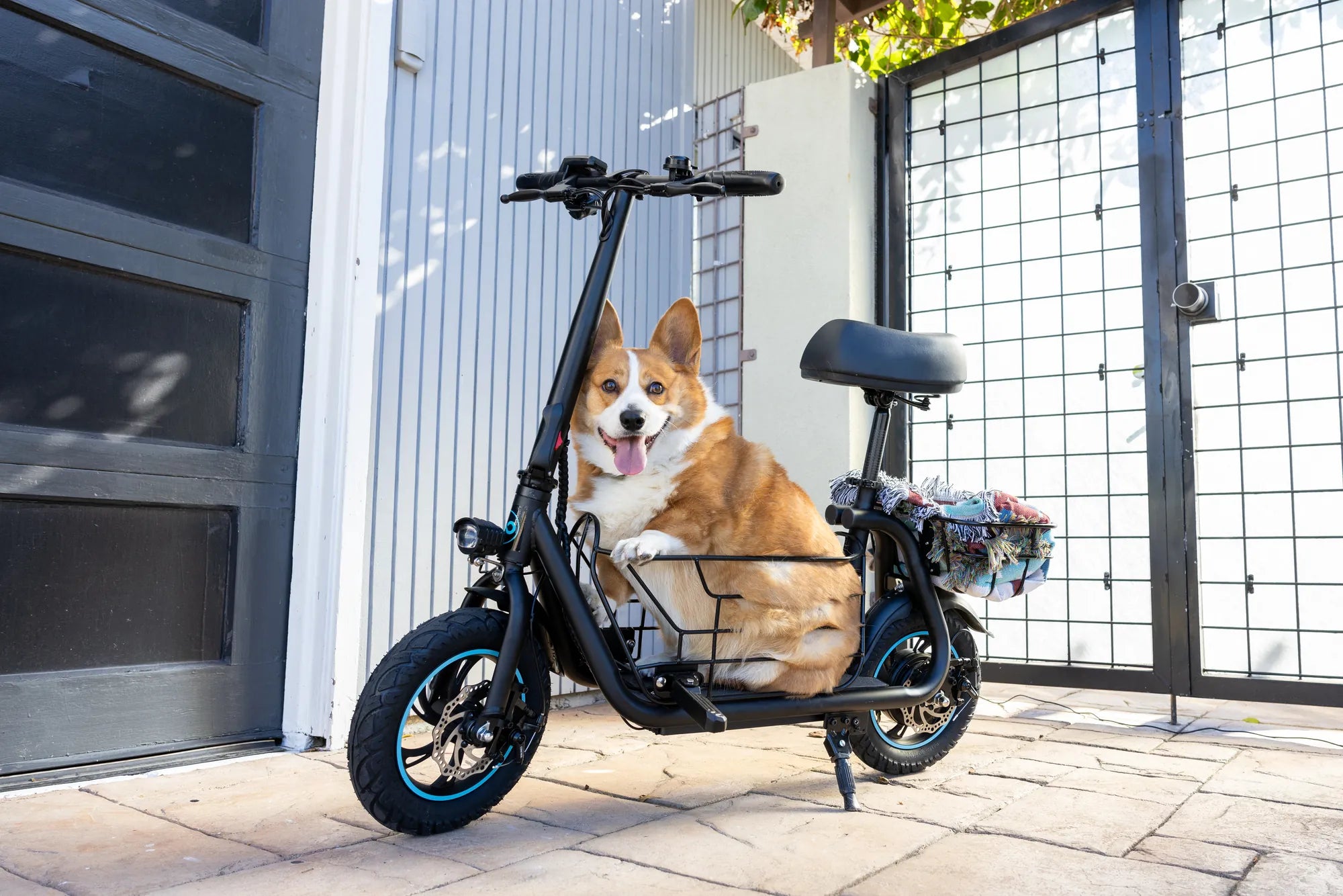 Electric Scooter Body Parts: A Comprehensive Guide to Their Functions and Maintenance