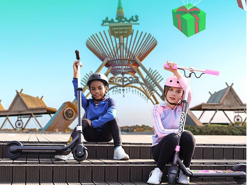 Electric Scooters