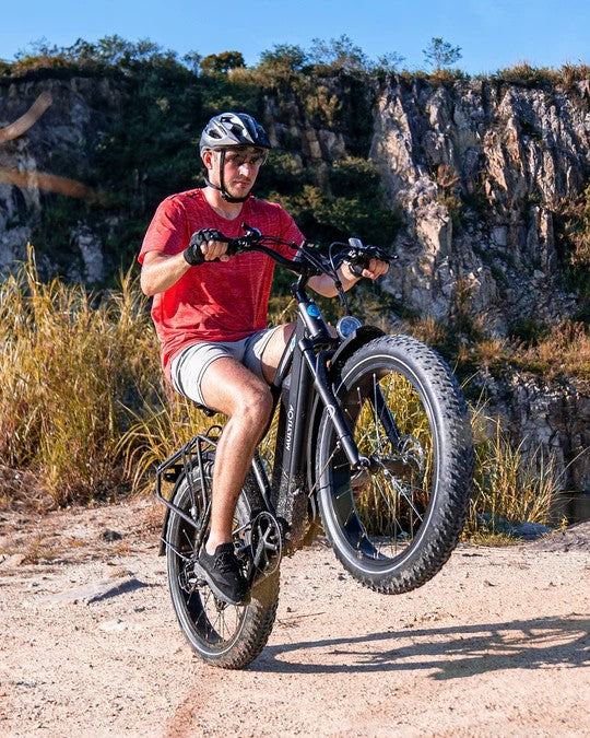 Off Road Electric Bike