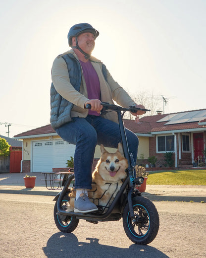 electric scooter used for pet friendly commuting