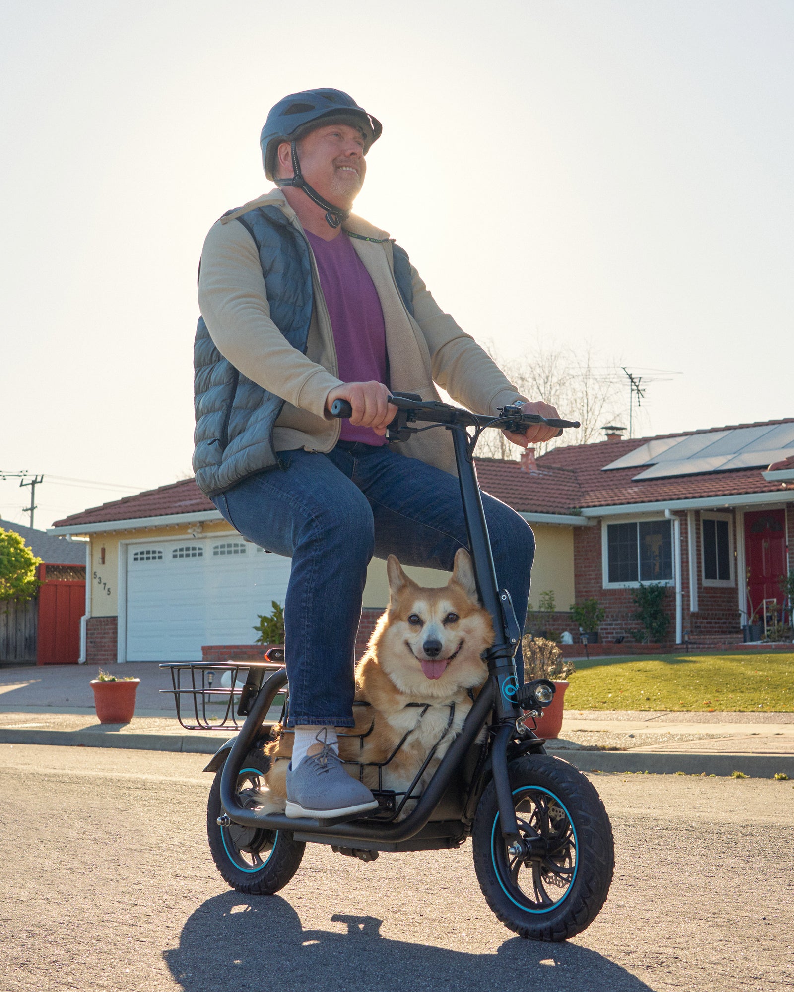 Electric Scooter with Removeable Large Middle Basket  for Pets & Cargo, 550W Motor 18.6 MPH 20 Mile Distance