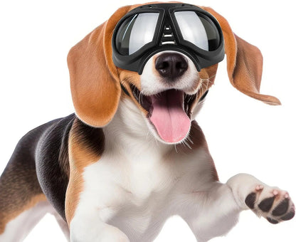 Dog Goggles with Adjustable Strap Dog-Goggles-Silver-lens Dog-Goggles-Blue-lens