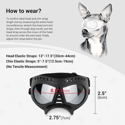 Dog Goggles with Adjustable Strap