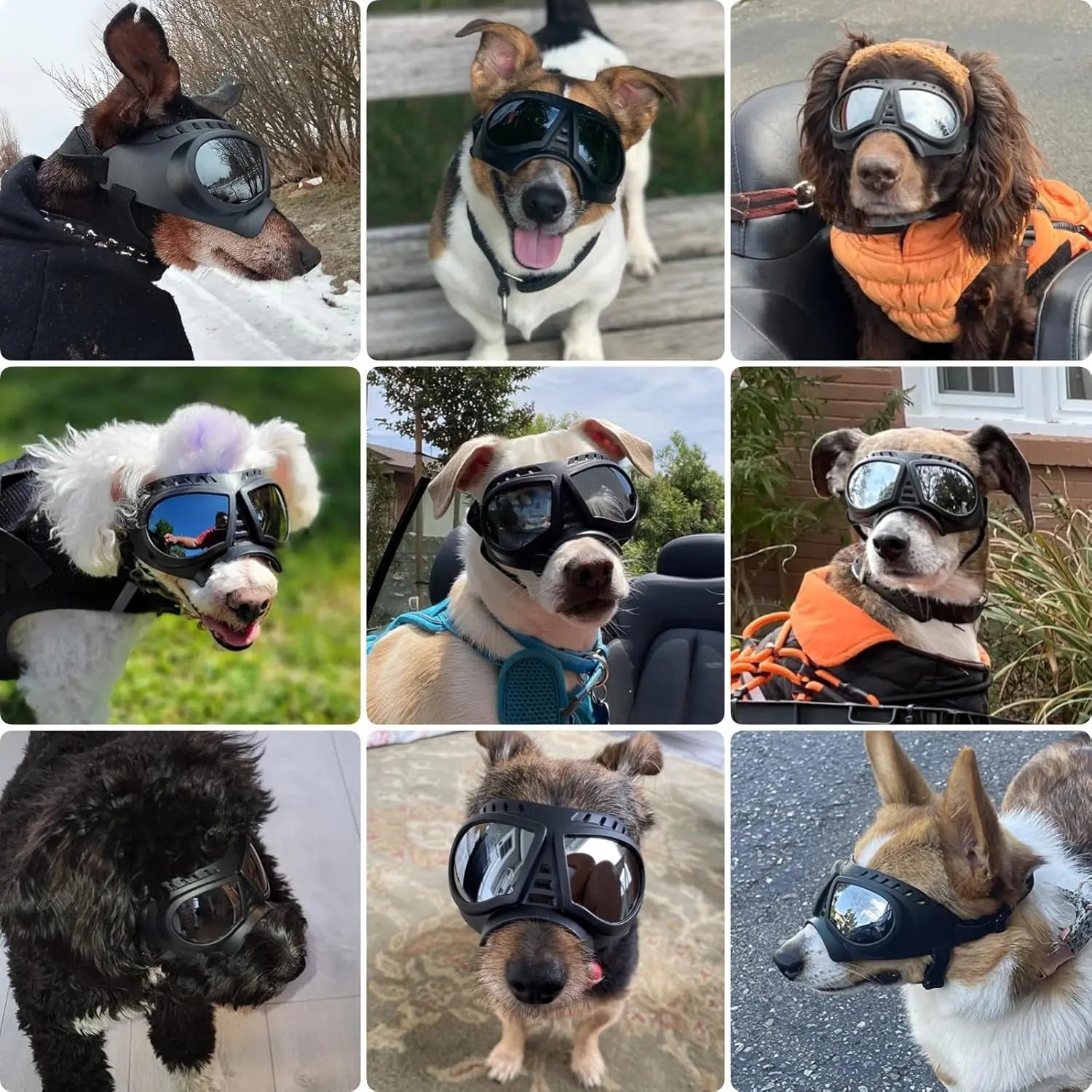 Dog Goggles with Adjustable Strap Dog-Goggles-Silver-lens Dog-Goggles-Blue-lens
