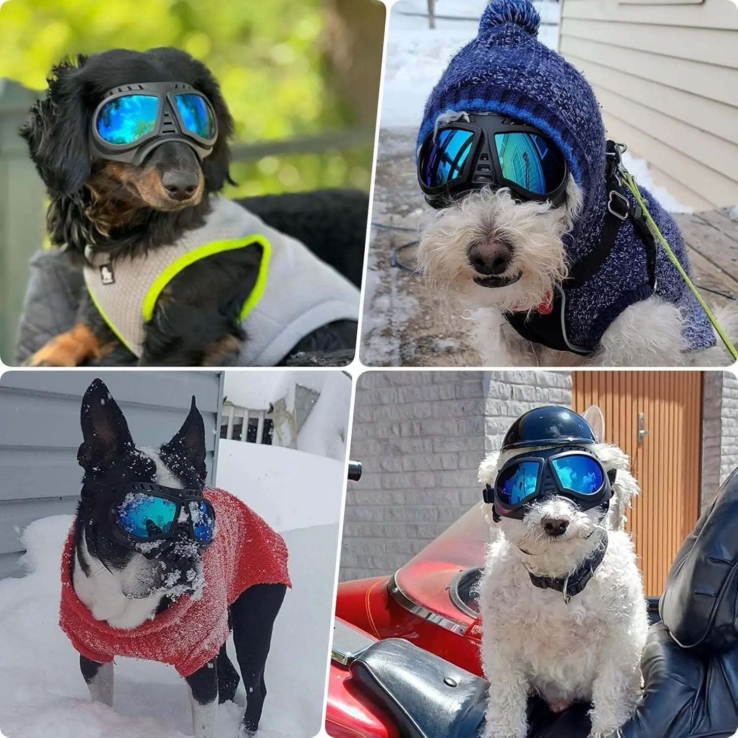 Dog Goggles with Adjustable Strap Dog-Goggles-Silver-lens Dog-Goggles-Blue-lens