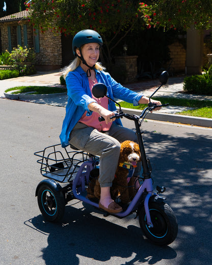 [Pre Order] Gyroor C5 Electric Trike with Removable Dual Baskets,1000W(Peak) & 30Miles