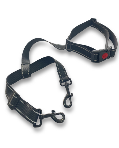 Dogleash for C1S