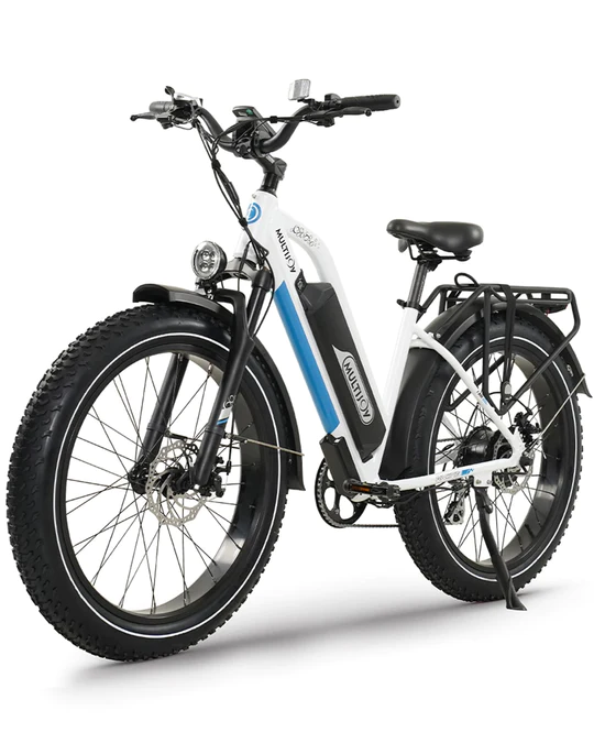 Bicicleta eléctrica Multijoy Spaniel Long Range Fat Tire