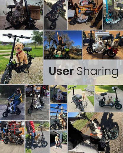 Gyroor C1S Electric Scooter 800W – Front & Rear Baskets