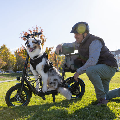 Gyroor C1Plus 1000W Electric Scooter with Dual Baskets for Pets & Cargo