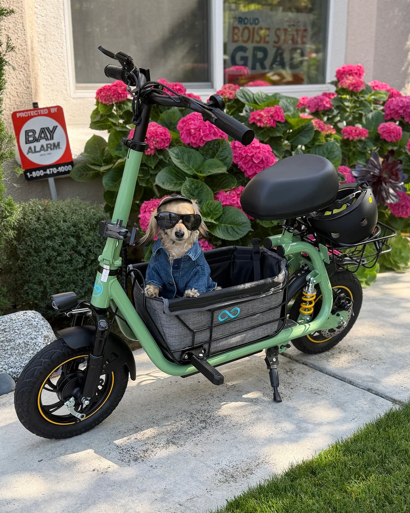 Small dog wearing sunglasses sitting in the front basket of an electric scooter beside blooming hydrangeas