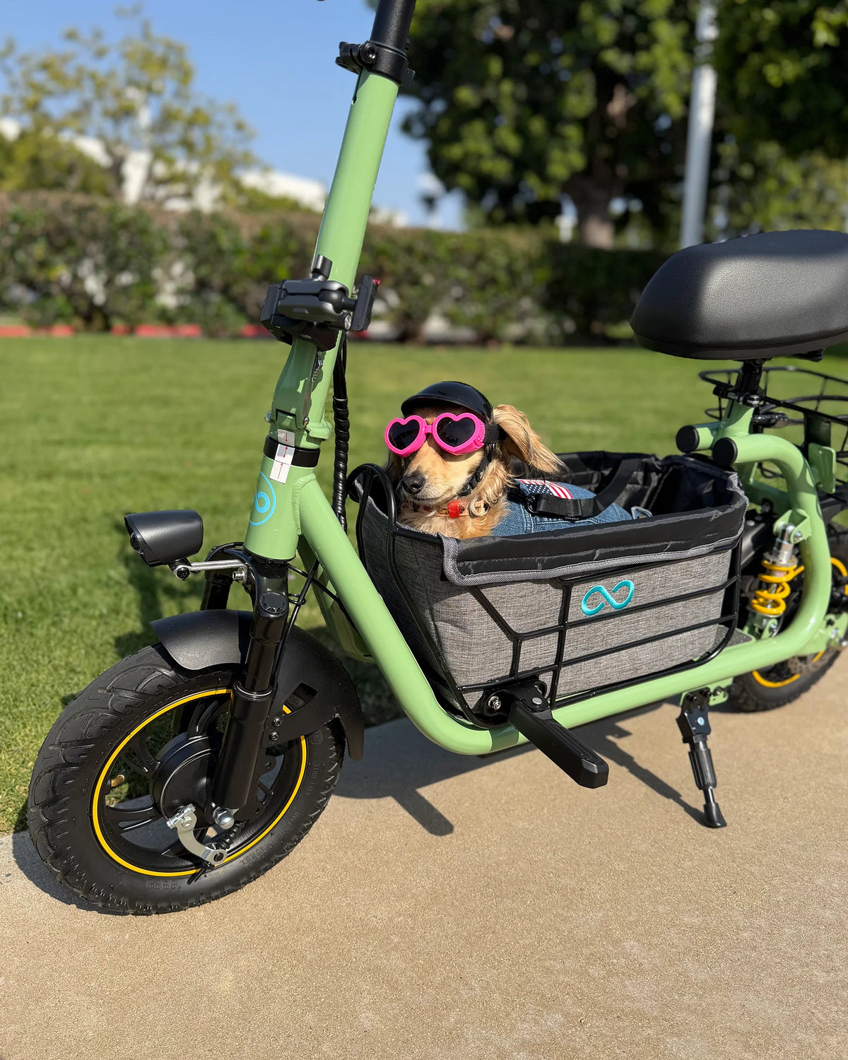 Small dog wearing heart-shaped sunglasses riding in the front basket of an electric scooter outdoors