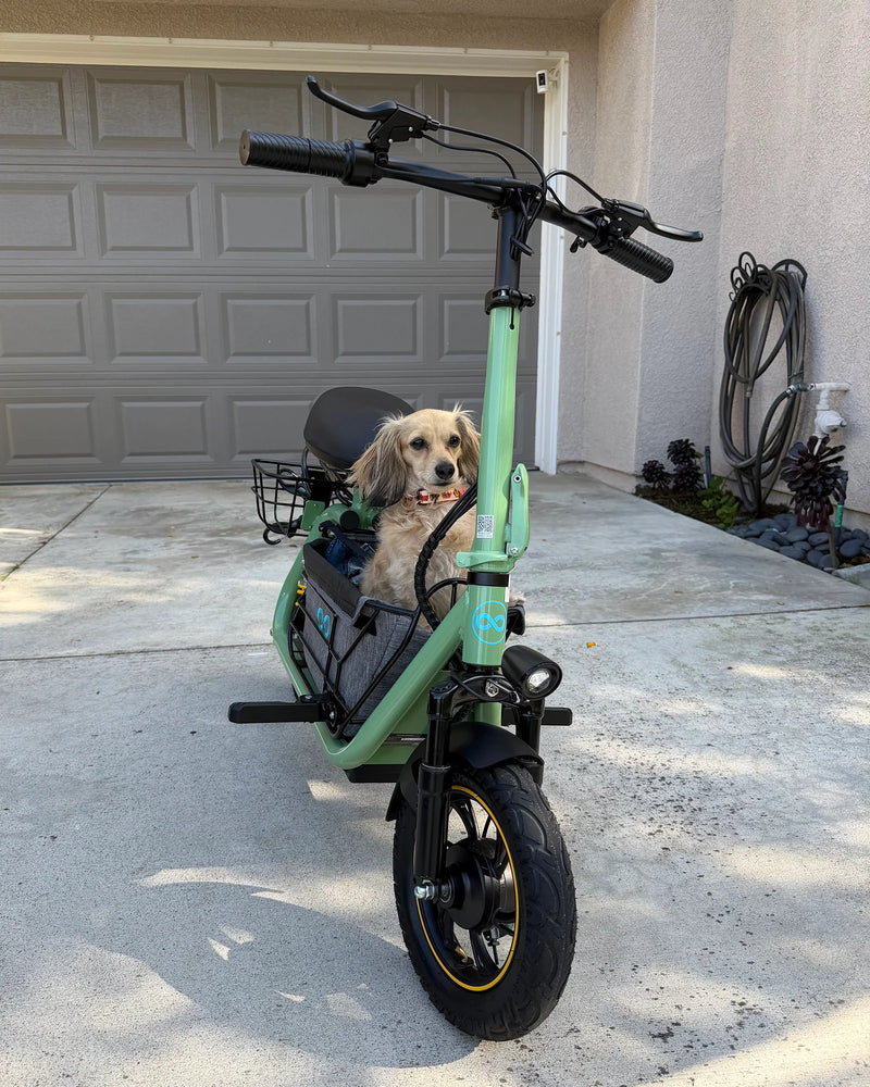 Small dog sitting in the front basket of an electric scooter with seat parked in a residential driveway