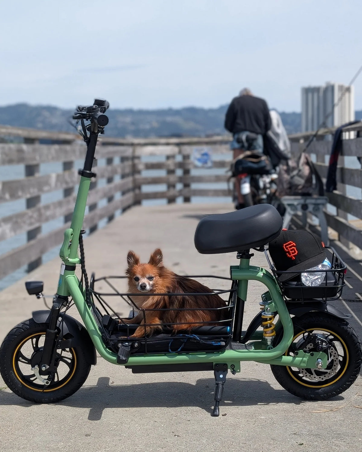Small dog sitting inside the front basket of an electric scooter on a waterfront pier