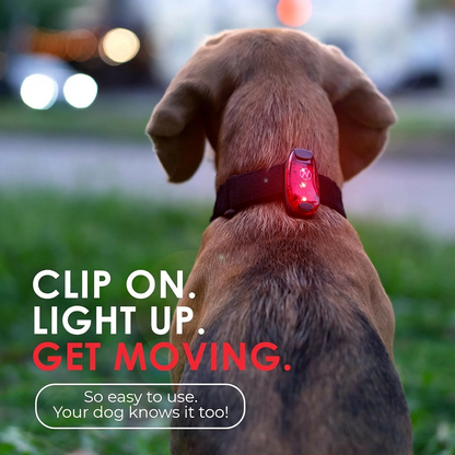 LED Safety Light (2 Pack)