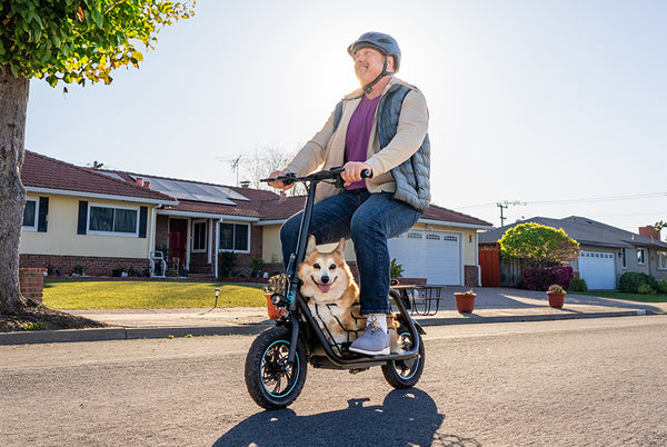 Rides with Pets