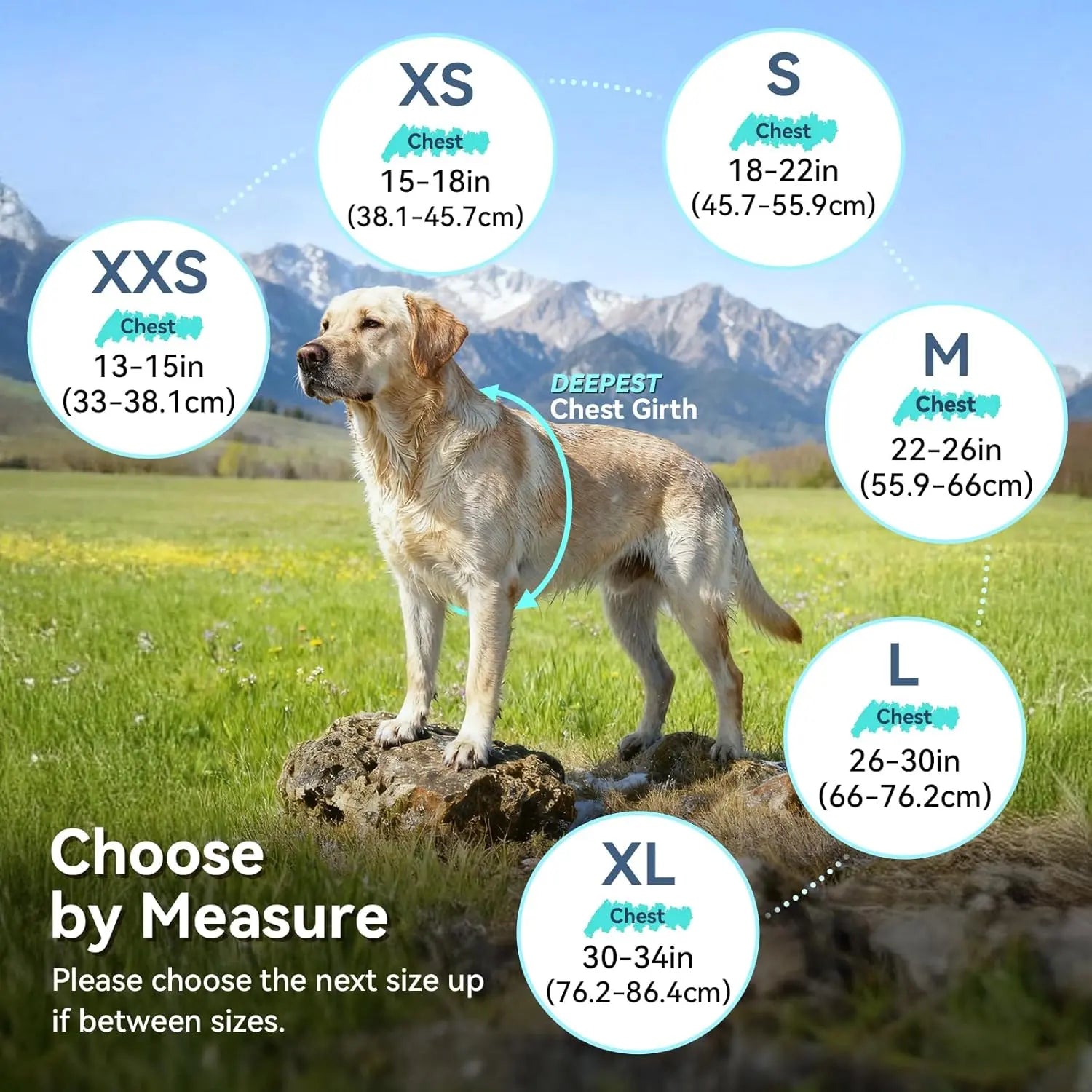Waterproof Dog Raincoat Dog-Raincoat-XXS Dog-Raincoat-XS Dog-Raincoat-S Dog-Raincoat-M Dog-Raincoat-L