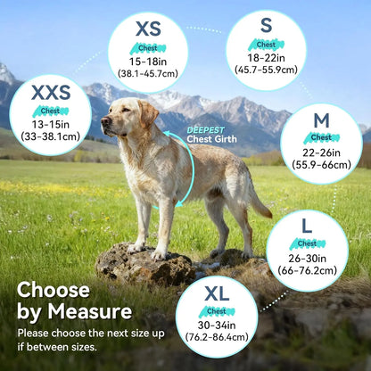 Waterproof Dog Raincoat Dog-Raincoat-XXS Dog-Raincoat-XS Dog-Raincoat-S Dog-Raincoat-M Dog-Raincoat-L