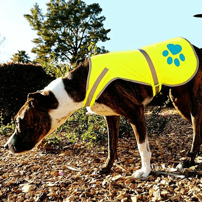Dog Reflective Vest Dog-Reflective-Vest-X Dog-Reflective-Vest-S Dog-Reflective-Vest-M Dog-Reflective-Vest-L