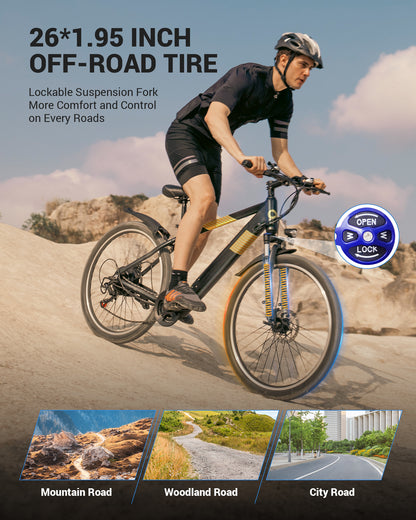 adult electric motorbike