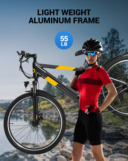 electric tricycle for adults