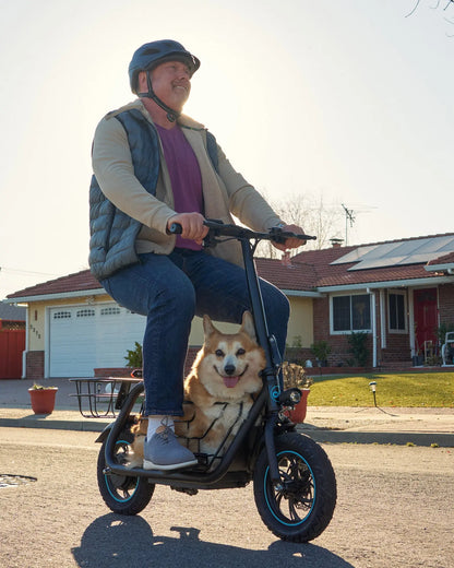 electric scooter used for walking dog in the street lifestyle scene
