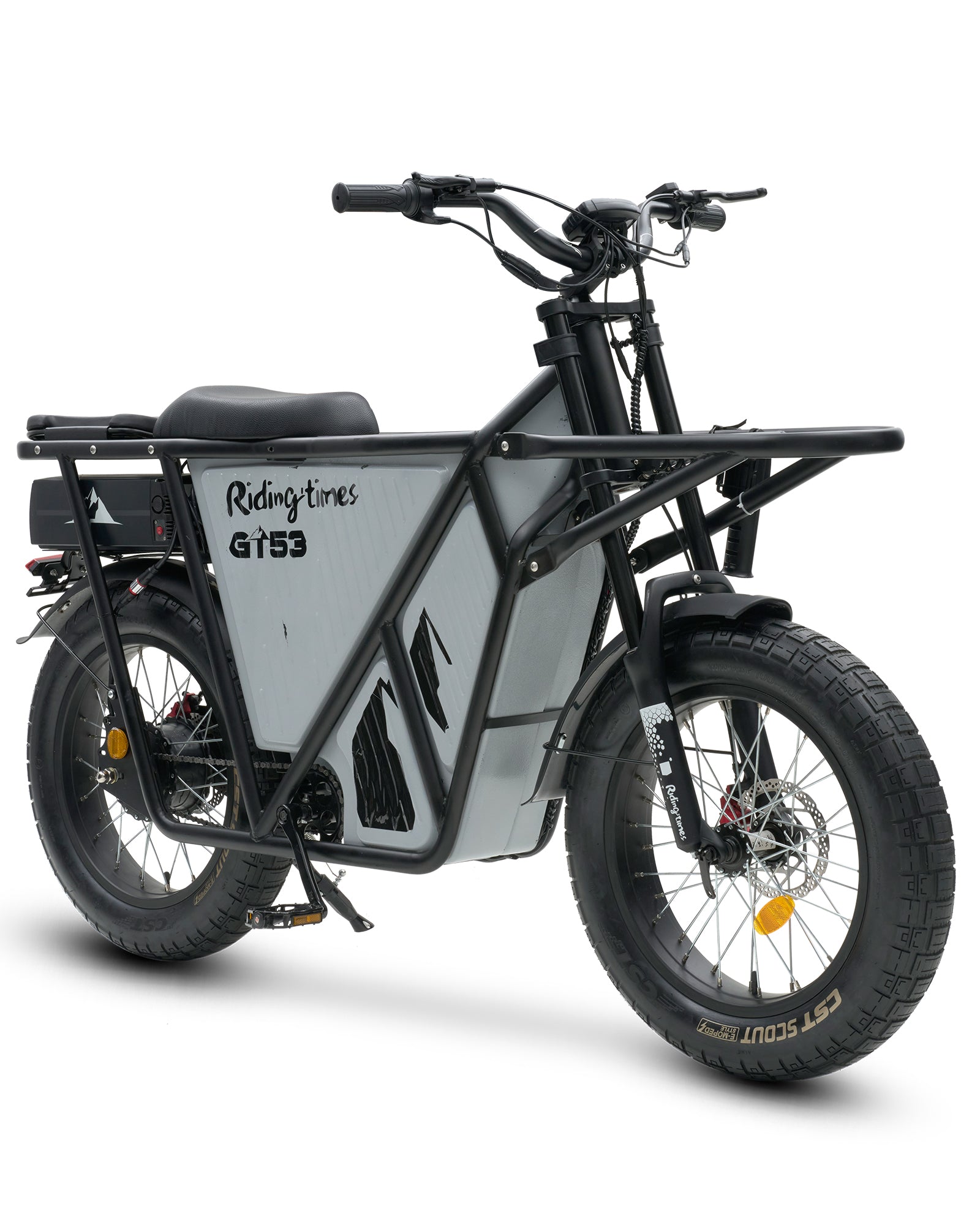 off-road Electric Cargo Bike for Adults 2000W with Removable Battery