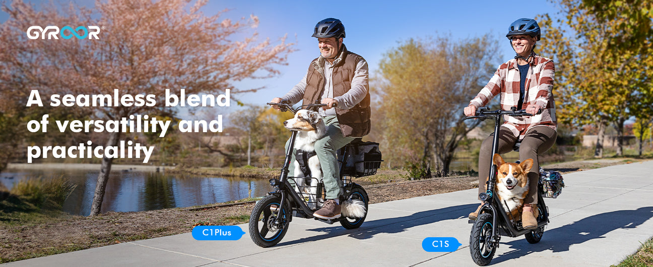 Foldable electric scooter 650W C1 PLUS