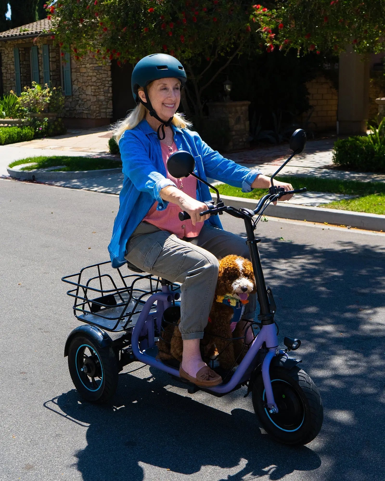 Gyroor C5 electric trike in purple color option with dual baskets