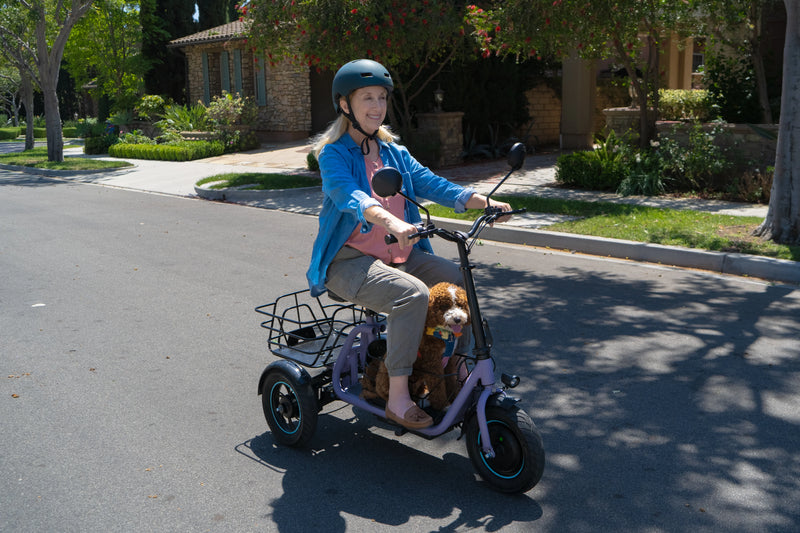Woman riding the Gyroor C5 electric trike with her dog in the front basket on a sunny neighborhood street