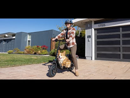 Gyroor C1S Electric Scooter 800W – Front & Rear Baskets