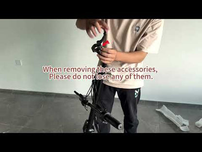 Gyroor X2 Electric Scooter 800W with 12" Tires, No Seat