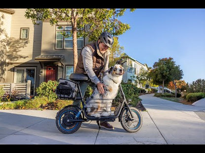 Gyroor C1Plus 1000W Electric Scooter with Dual Baskets for Pets & Cargo